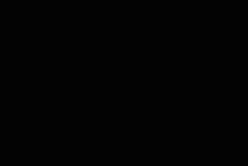Nitesh Kundal